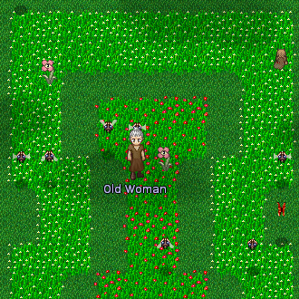 File:Old Woman.png
